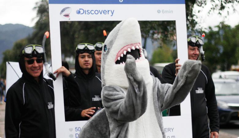 Mes del Tiburón de Discovery Channel Bogotá